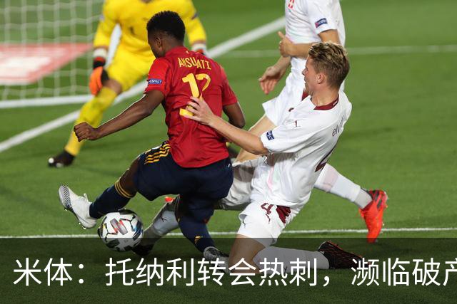米体：托纳利转会热刺，濒临破产的前意甲队布雷西亚分到350万欧