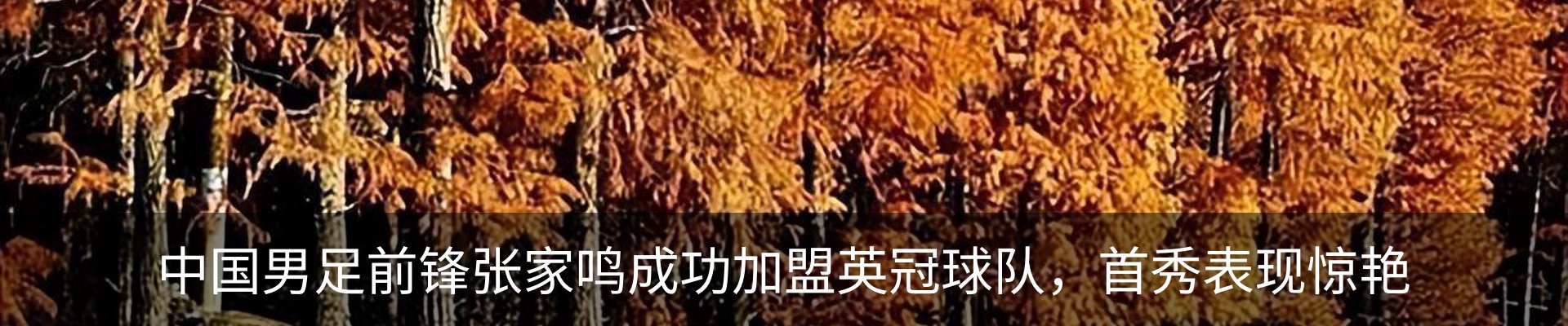 行业资讯
