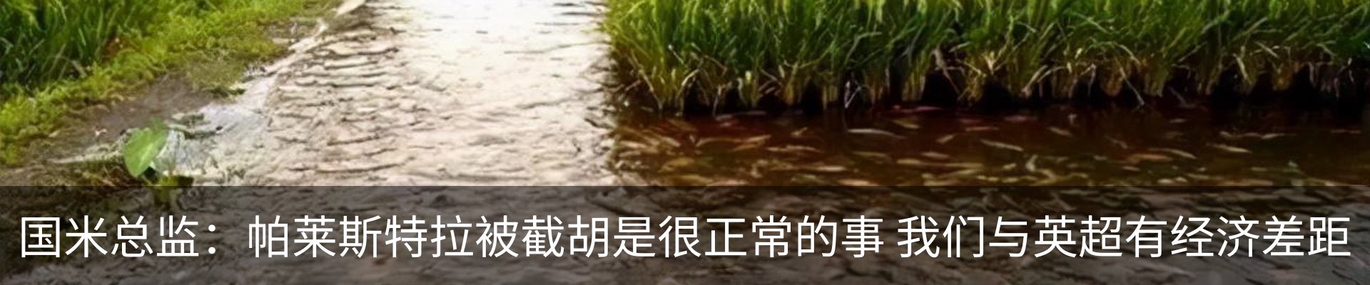 行业资讯